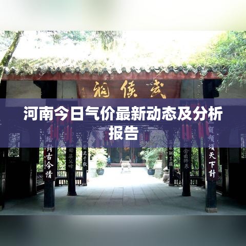 河南今日气价最新动态及分析报告