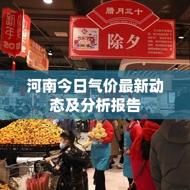 河南今日气价最新动态及分析报告