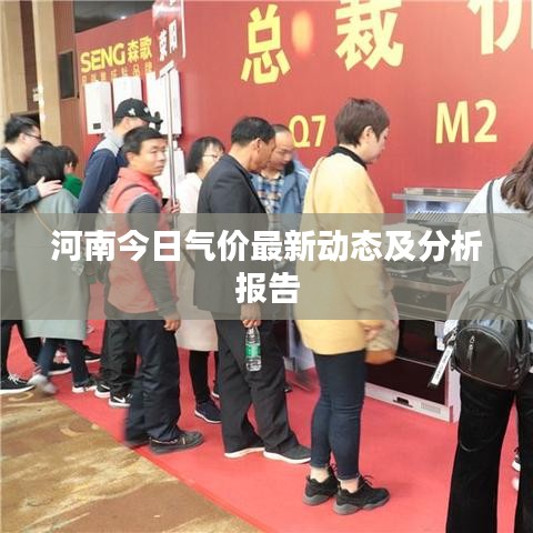 河南今日气价最新动态及分析报告