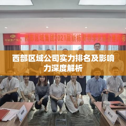 西部区域公司实力排名及影响力深度解析