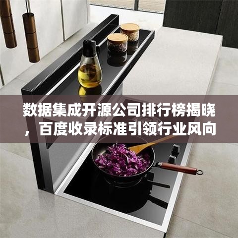 数据集成开源公司排行榜揭晓，百度收录标准引领行业风向！