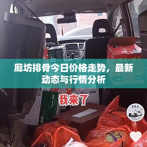 廊坊排骨今日价格走势，最新动态与行情分析