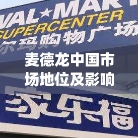 麦德龙中国市场地位及影响力深度解析