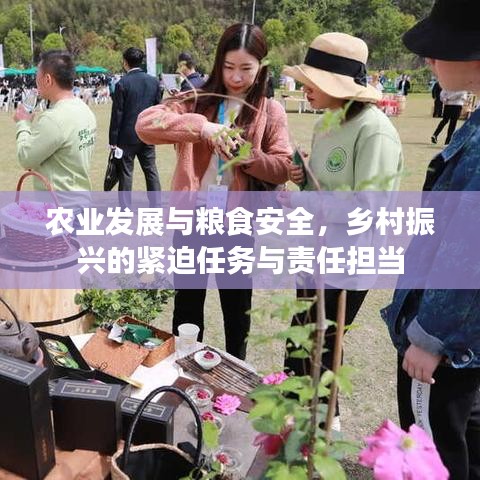 农业发展与粮食安全，乡村振兴的紧迫任务与责任担当