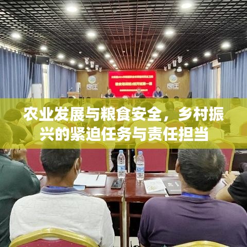 农业发展与粮食安全,乡村振兴的紧迫任务与责任担当