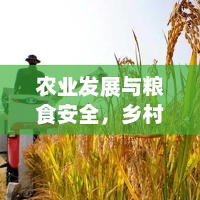 农业发展与粮食安全,乡村振兴的紧迫任务与责任担当