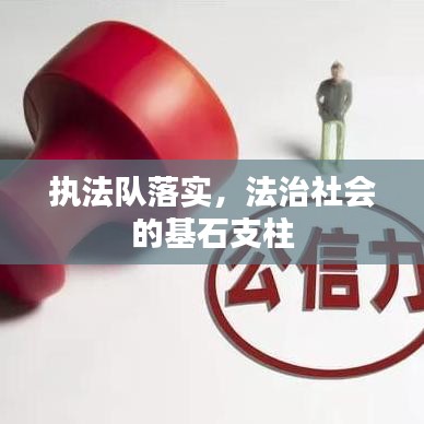 执法队落实,法治社会的基石支柱