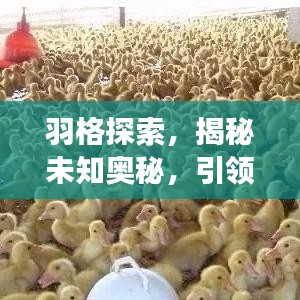 因陋就简 第6页