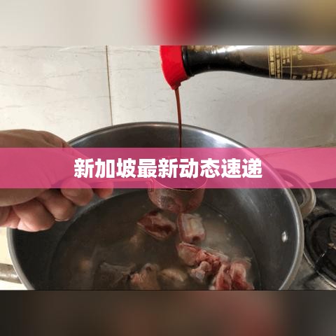 新加坡最新动态速递