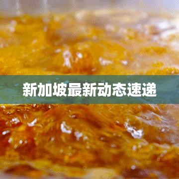 新加坡最新动态速递