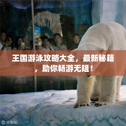 王国游泳攻略大全，最新秘籍，助你畅游无阻！