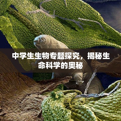中学生生物专题探究,揭秘生命科学的奥秘