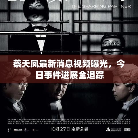 蔡天凤最新消息视频曝光,今日事件进展全追踪