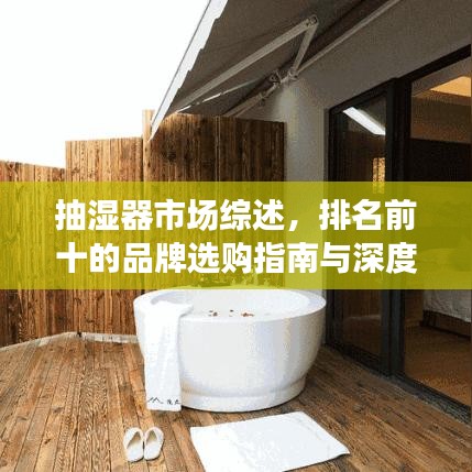 抽湿器市场综述，排名前十的品牌选购指南与深度解析