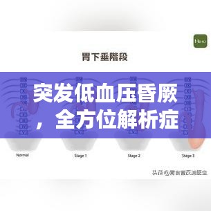 突发低血压昏厥，全方位解析症状、预防与紧急处理方案