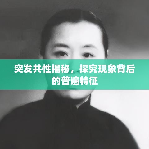 突发共性揭秘，探究现象背后的普遍特征