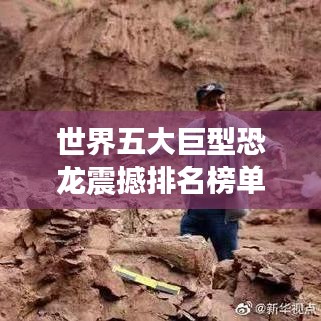 世界五大巨型恐龙震撼排名榜单！