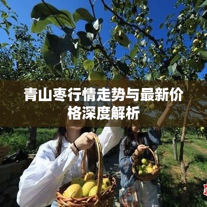 青山枣行情走势与最新价格深度解析