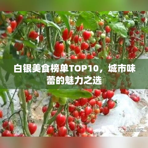 白银美食榜单TOP10，城市味蕾的魅力之选