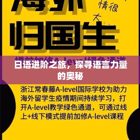 日语进阶之旅,探寻语言力量的奥秘