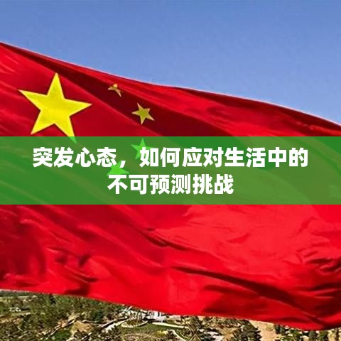 突发心态，如何应对生活中的不可预测挑战