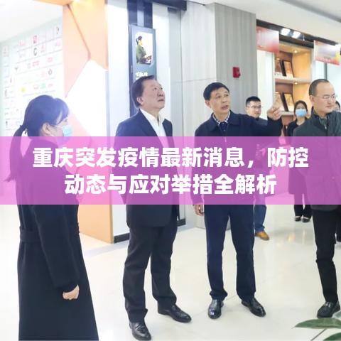 重庆突发疫情最新消息,防控动态与应对举措全解析
