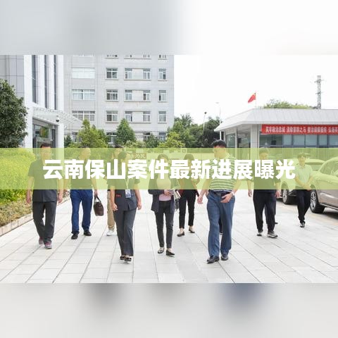 云南保山案件最新进展曝光