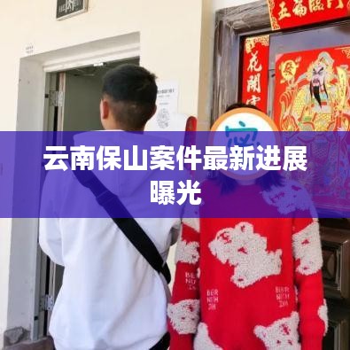 云南保山案件最新进展曝光
