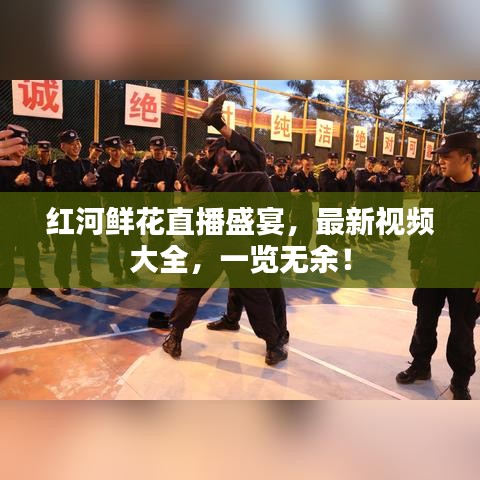 红河鲜花直播盛宴，最新视频大全，一览无余！