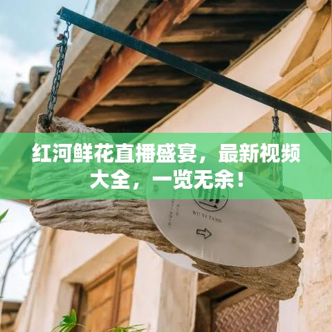 红河鲜花直播盛宴,最新视频大全,一览无余!
