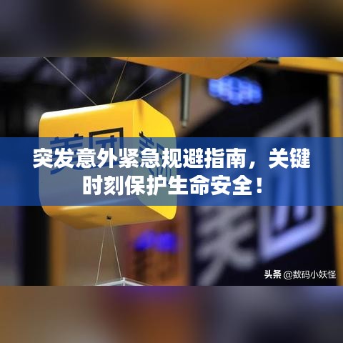 突发意外紧急规避指南，关键时刻保护生命安全！