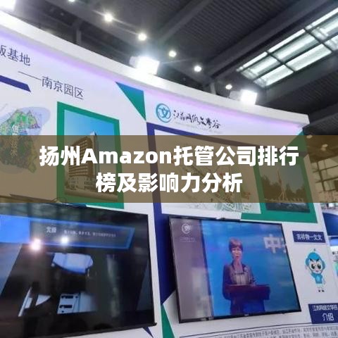 扬州Amazon托管公司排行榜及影响力分析