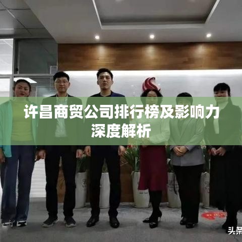 许昌商贸公司排行榜及影响力深度解析