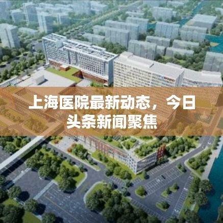 上海医院最新动态，今日头条新闻聚焦