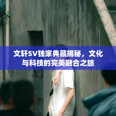 文轩SV独家典藏揭秘，文化与科技的完美融合之旅