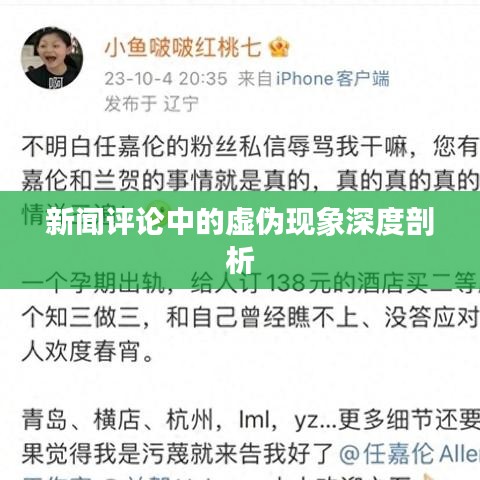 新闻评论中的虚伪现象深度剖析
