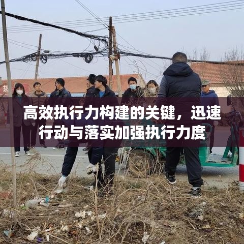 高效执行力构建的关键，迅速行动与落实加强执行力度