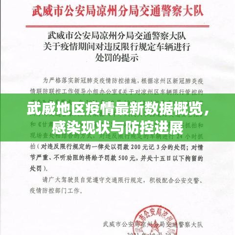 武威地区疫情最新数据概览，感染现状与防控进展