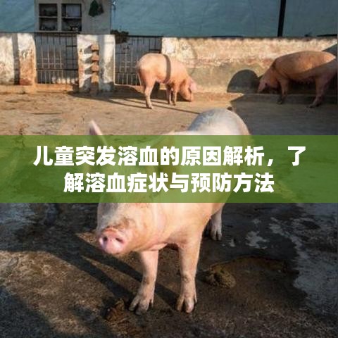 儿童突发溶血的原因解析,了解溶血症状与预防方法