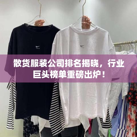 散货服装公司排名揭晓，行业巨头榜单重磅出炉！