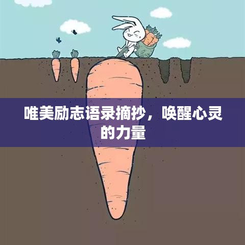 唯美励志语录摘抄，唤醒心灵的力量