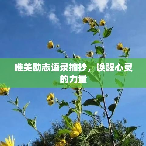 唯美励志语录摘抄,唤醒心灵的力量