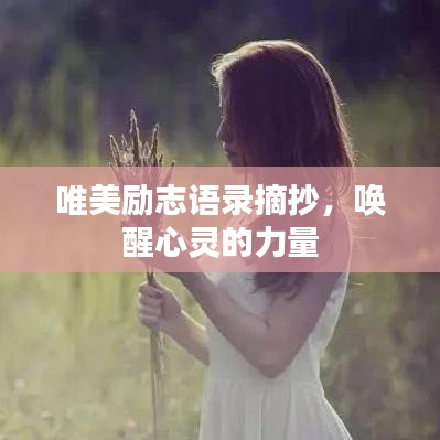 唯美励志语录摘抄,唤醒心灵的力量