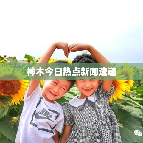 神木今日热点新闻速递