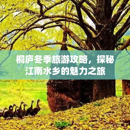 桐庐冬季旅游攻略,探秘江南水乡的魅力之旅