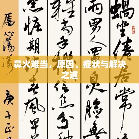 ​​mmrecoveryqq官方下载，实效设计解析_V版_v6.731——免费且强大的软件体验