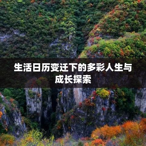 生活日历变迁下的多彩人生与成长探索