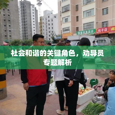 社会和谐的关键角色,劝导员专题解析