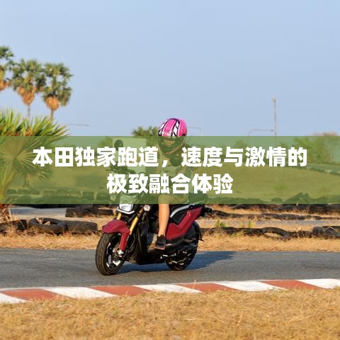 本田独家跑道,速度与激情的极致融合体验