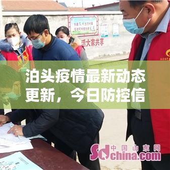 泊头疫情最新动态更新，今日防控信息速递